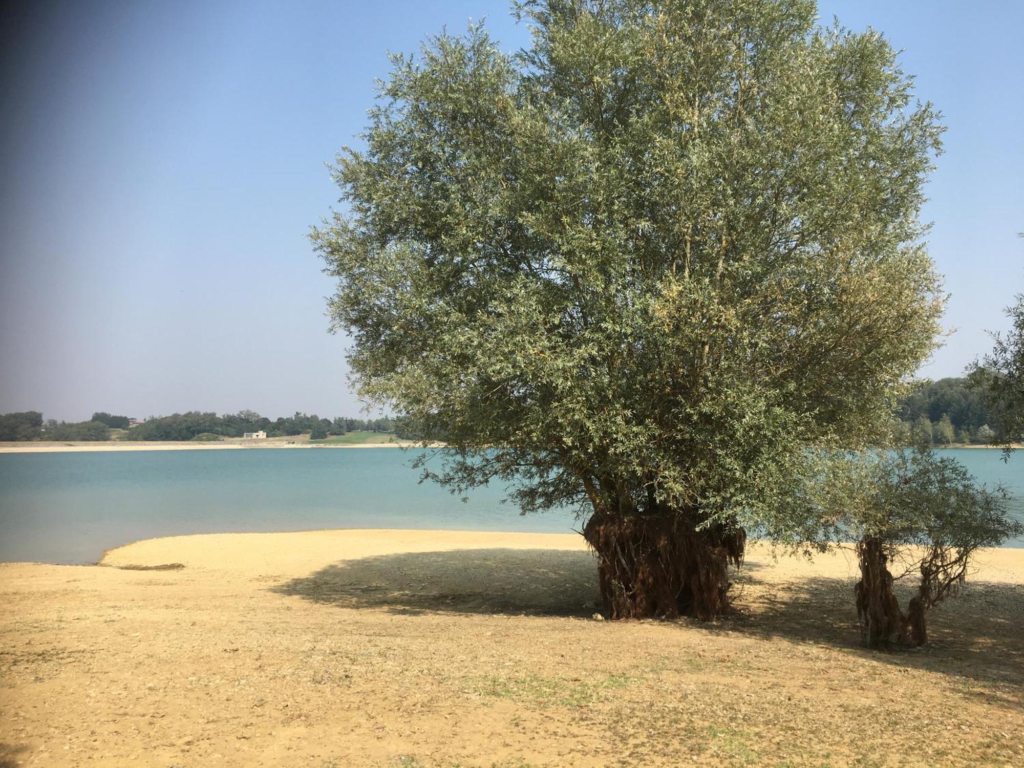 LʼIsle-en-Dodon Chez Christian Bed & Breakfast エクステリア 写真